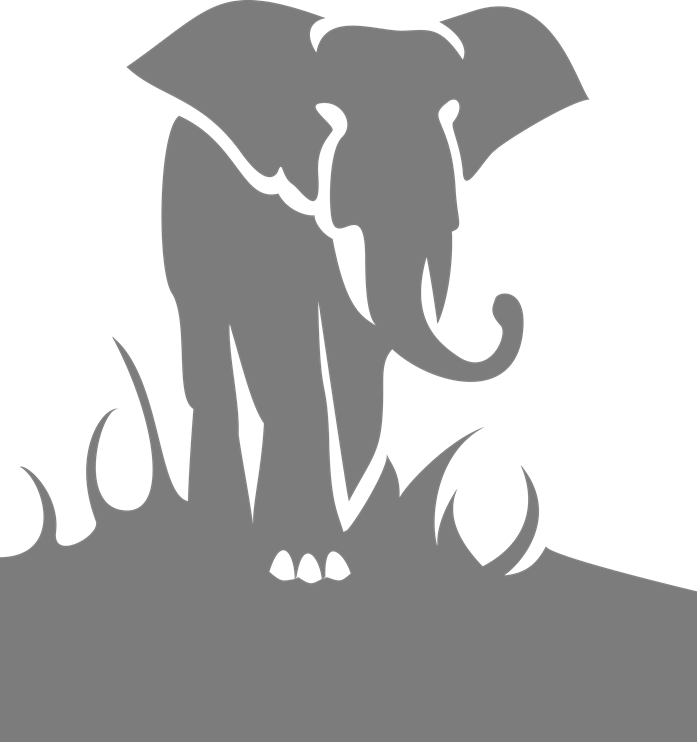 Hvad skal vi med den elefant…?